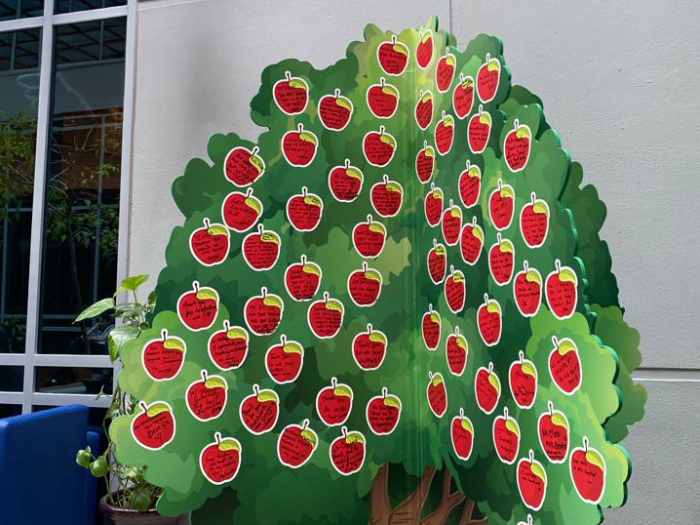 tree tree